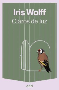 Claros de luz